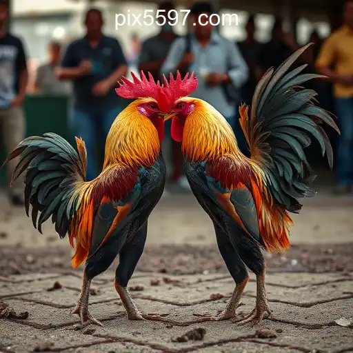 Cockfighting